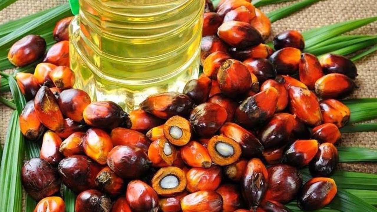 Aceite de oliva y palma roja